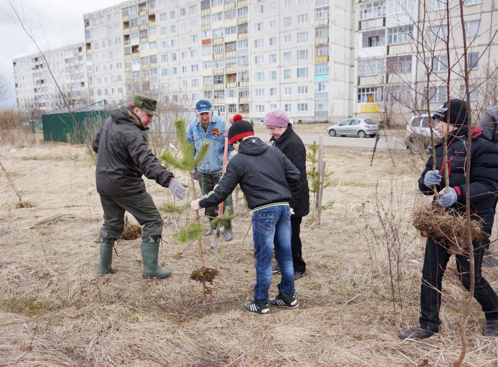 Хорошее дело объединило всех, ведь в нем все равны: ветераны сажают деревья вместе с главой районной администрации Александром Пахолковым и волонтерами.