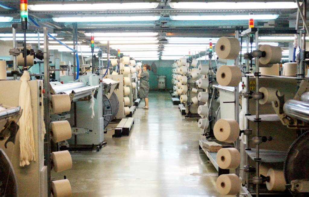 Кроме родниковской фирмы «Праймтекс»  перспективные текстильные проекты реализуют холдинг «Stellini»  (жаккардовые ткани) и компания «Навтекс» (медицинский текстиль).